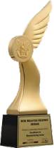 Excellence In Manufacturing Sector