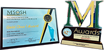 Gold Class 1 MSM Prai Bhd 42nd MSOSH Award 2024